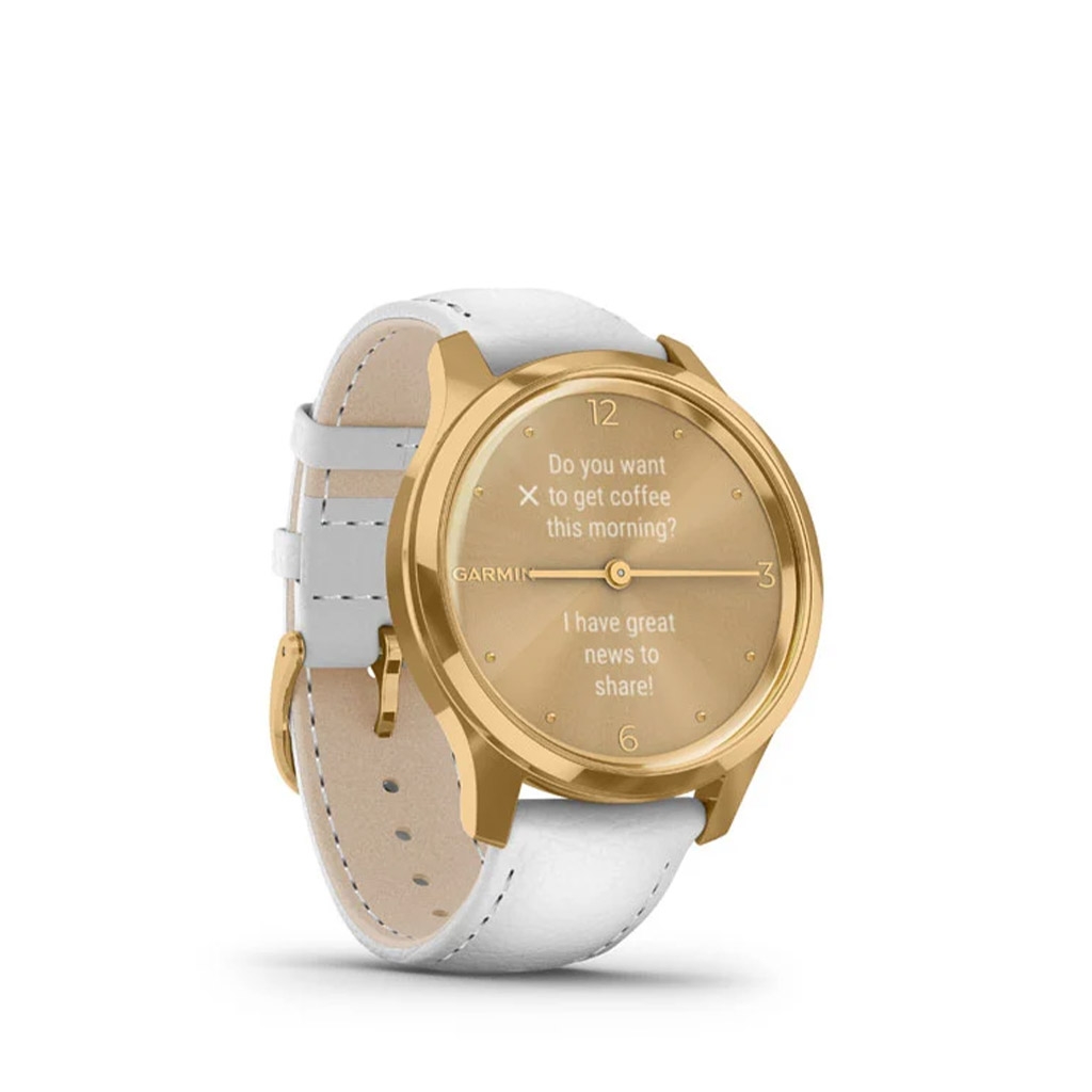 garmin vivomove gold