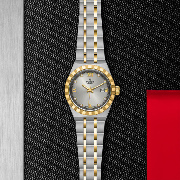 tudor watch display