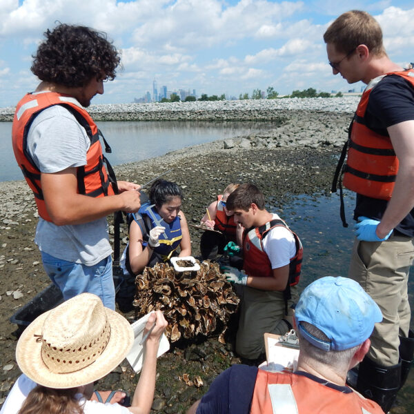 Billion Oyster Project