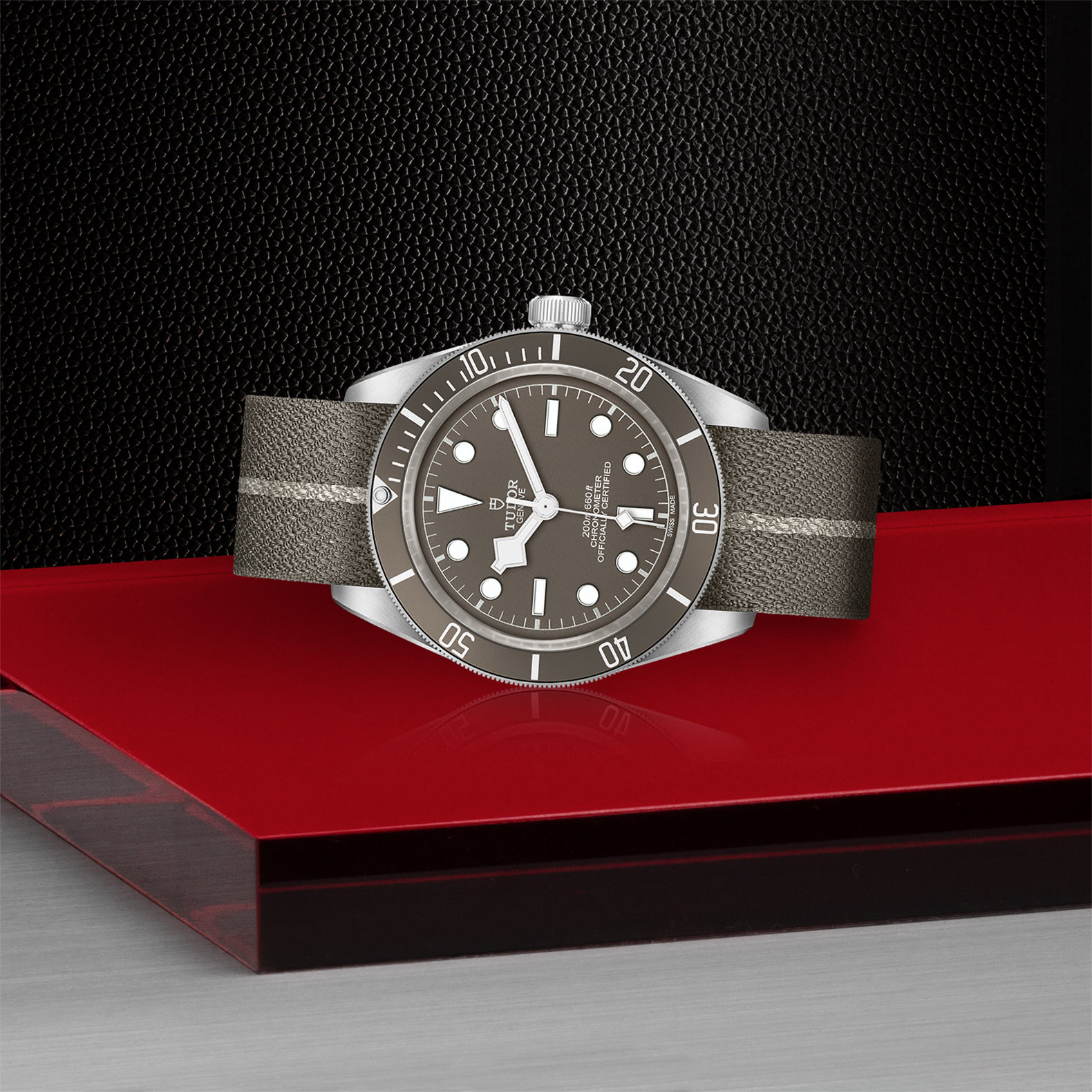 Tudor Black Bay 58 925 39mm