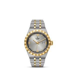 TUDOR Ranger Steel & Gold 28mm watch