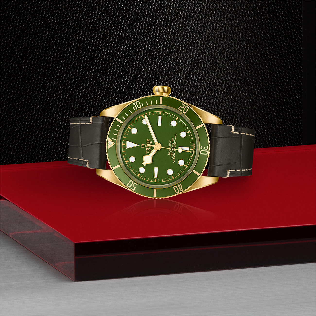Tudor Black Bay 58 18K 39mm