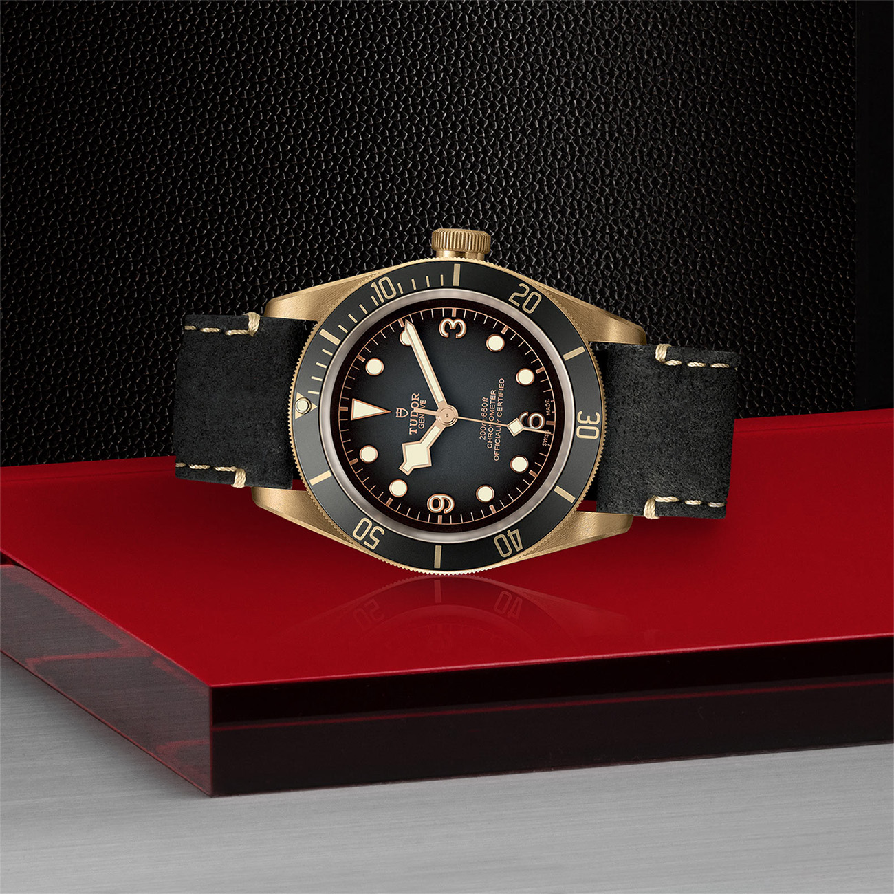 Tudor black bay bronze homage clearance