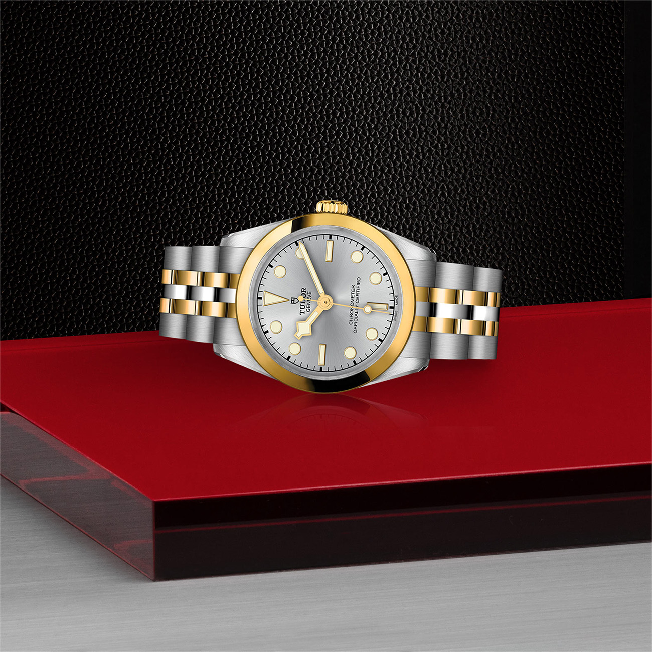 Tudor Black Bay One S&#038;G 31mm