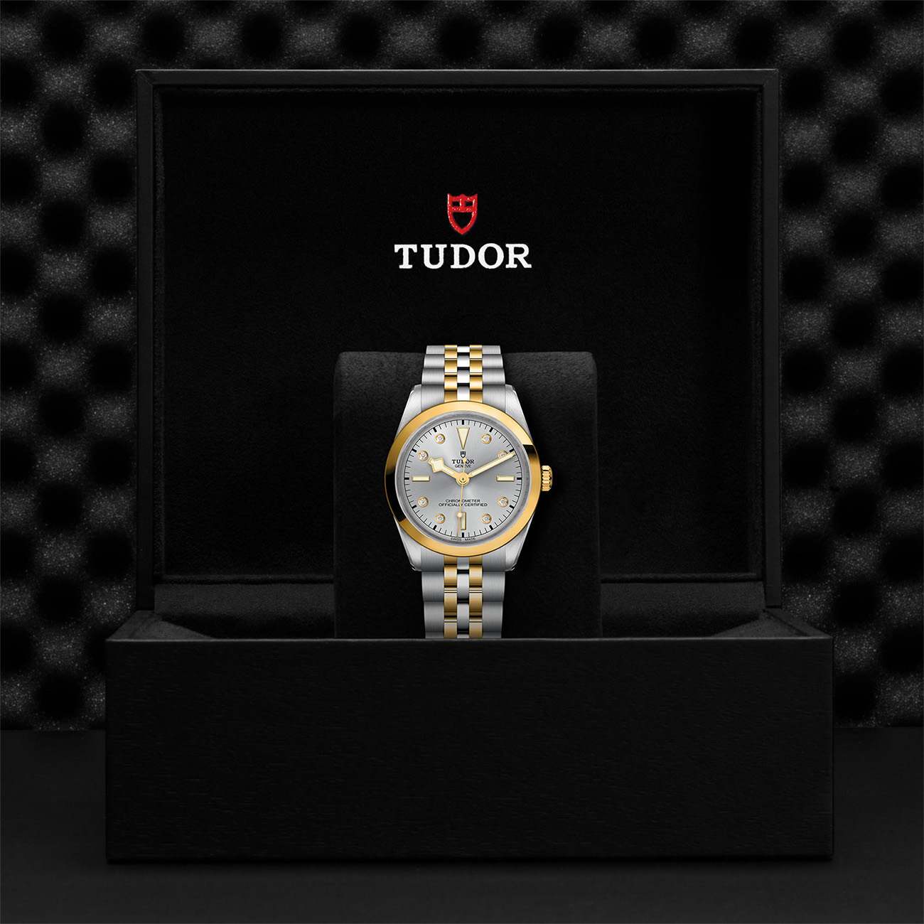 M79643-0007-Tudor-Black-Bay-36-SG-Silver-Box