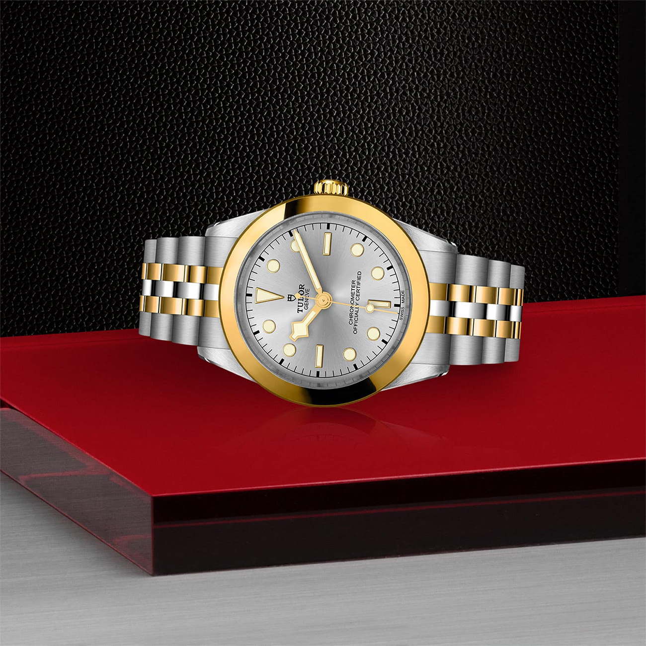 Tudor Black Bay One S&#038;G 39mm
