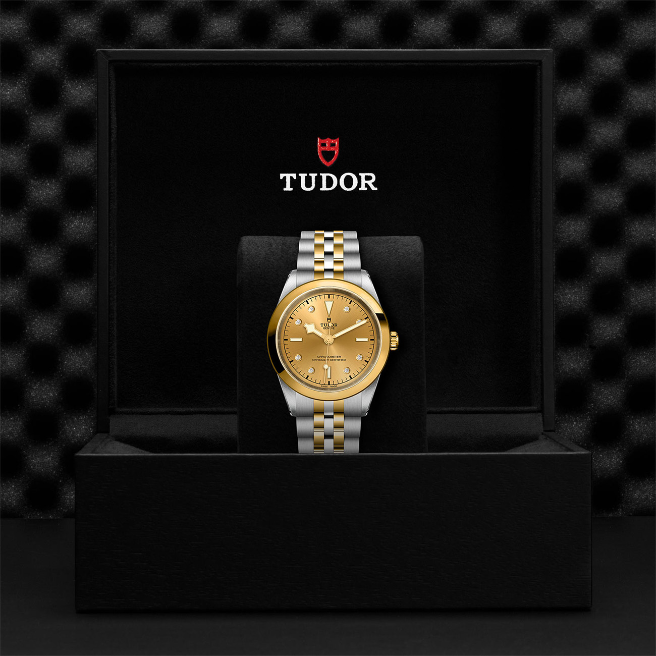 M79683-0008-Tudor-Black-Bay-41-Gold-SG-Box