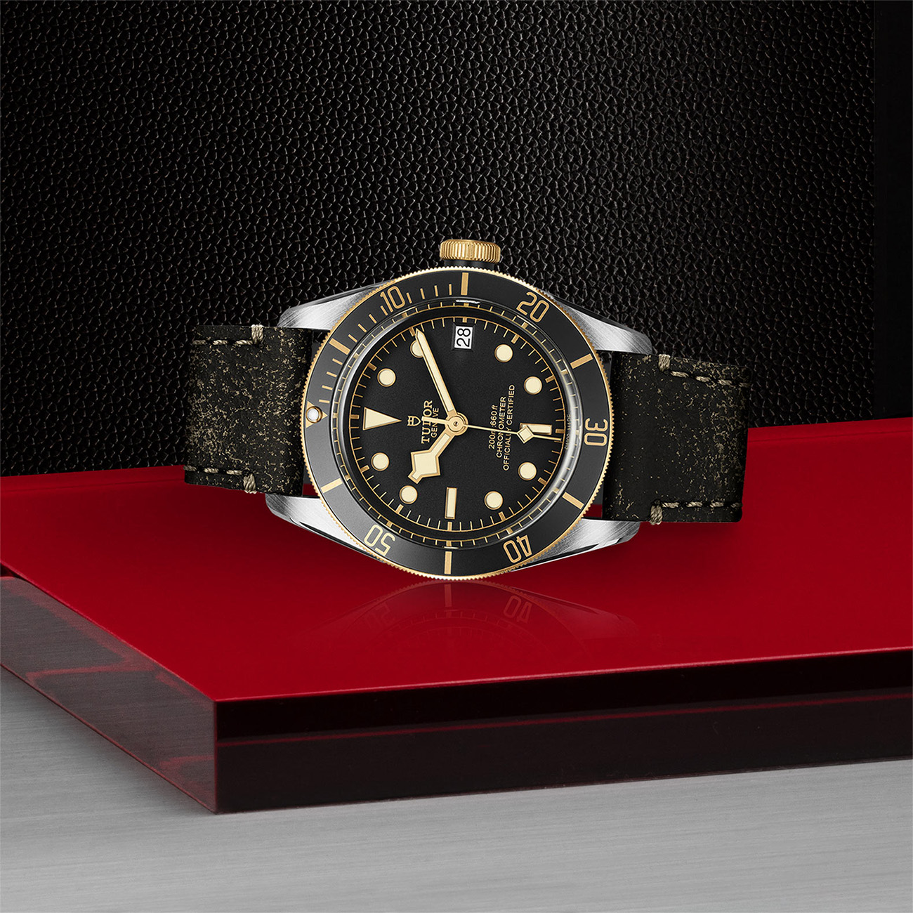 Tudor Black Bay S&#038;G 41mm