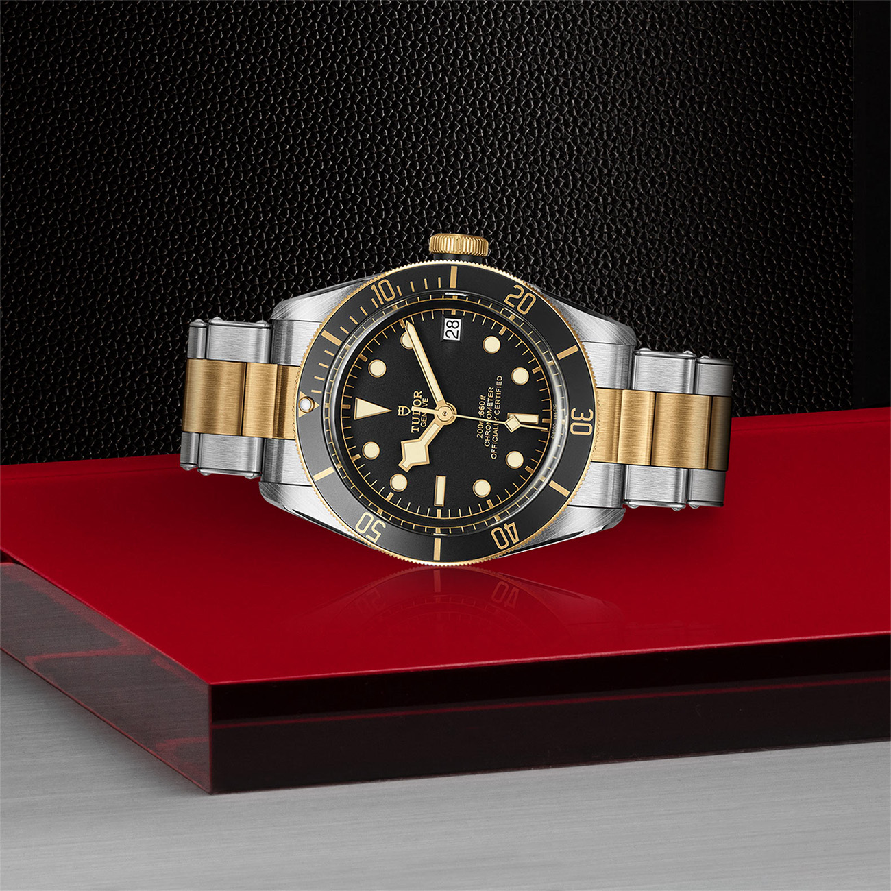 Tudor Black Bay S&#038;G 41mm