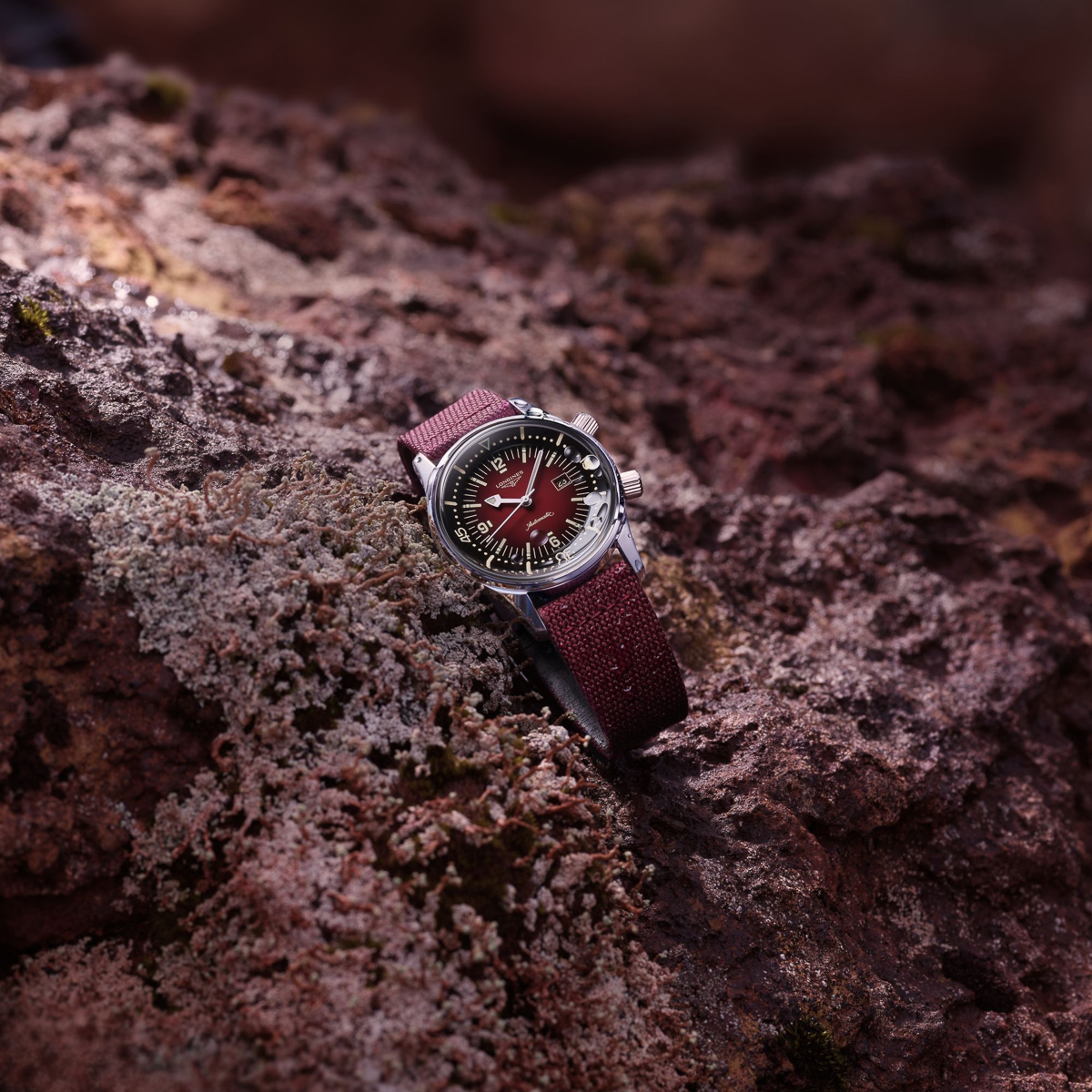 Legend diver 36mm clearance