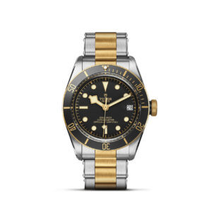 Tudor Black Bay S&G 41mm