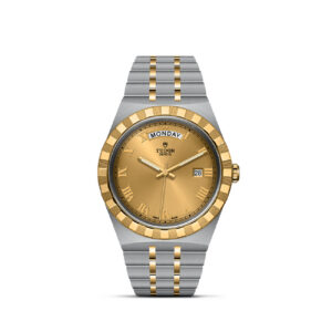 Tudor Royal S&G 41mm