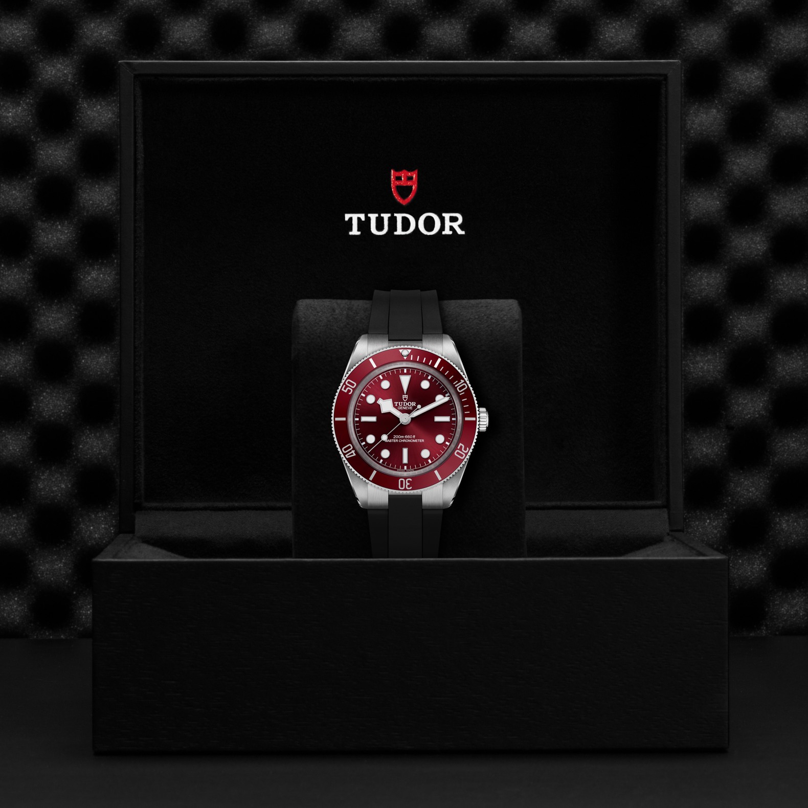 Tudor Black Bay 58 39mm